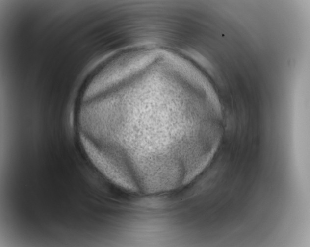 X0000089871078200707191934