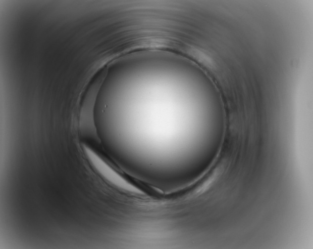 X0000089871081200707191934