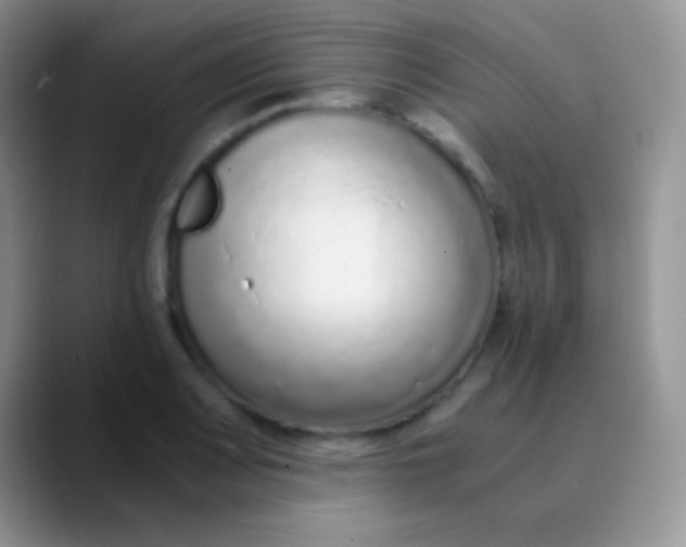 X0000089871083200707191934