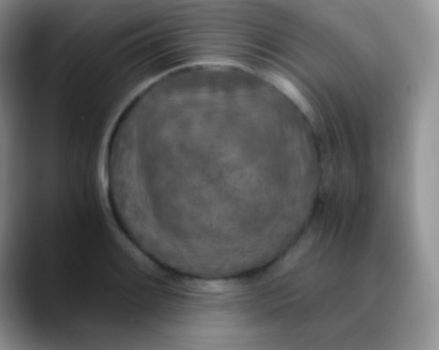 X0000089871084200707191934