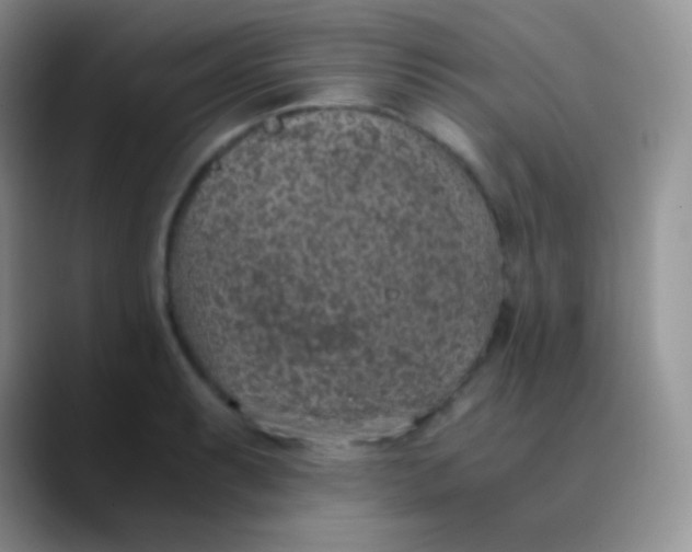 X0000089871087200707191934