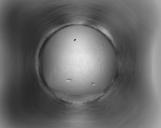 X0000089871088200707191934