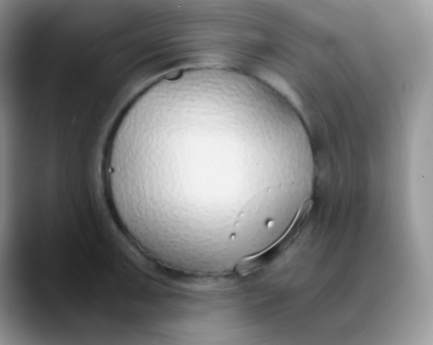 X0000089871091200707191934