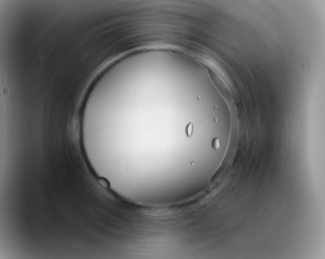 X0000089871092200707191934