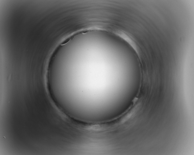 X0000089871093200707191934