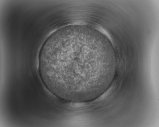 X0000089871095200707191934