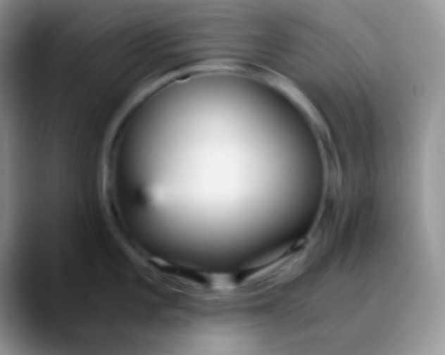 X0000089871101200707191934