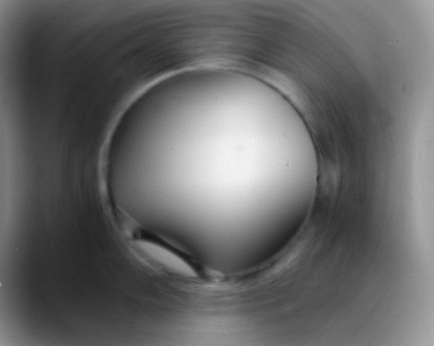 X0000089871102200707191934