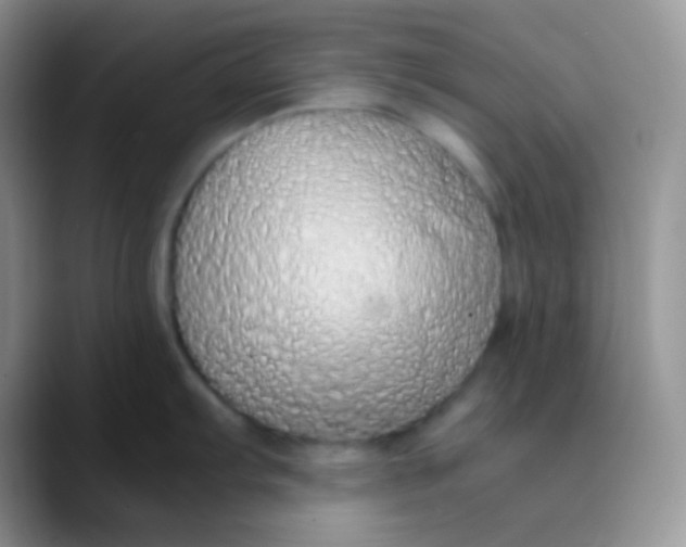 X0000089871103200707191934