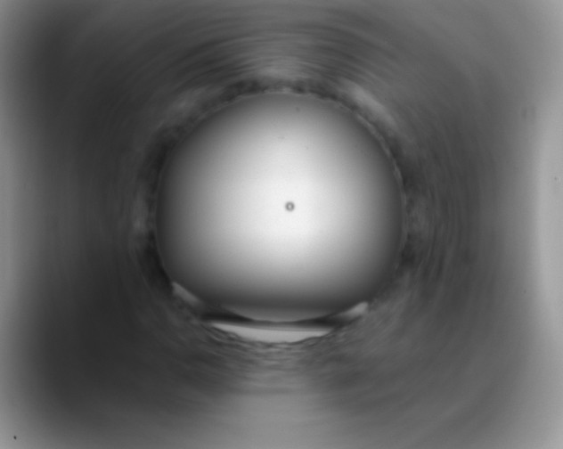 X0000089871110200707191933