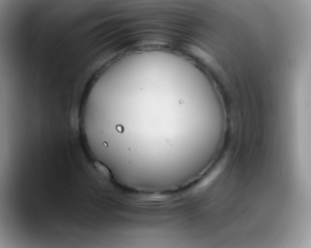 X0000089871113200707191933