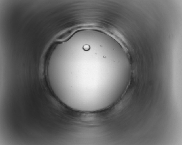 X0000089871116200707191933