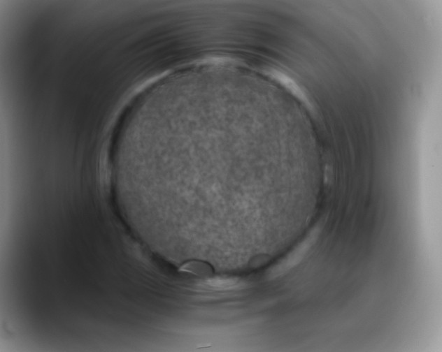 X0000089871117200707191933