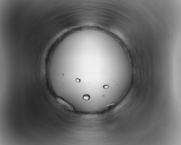 X0000089871118200707191933