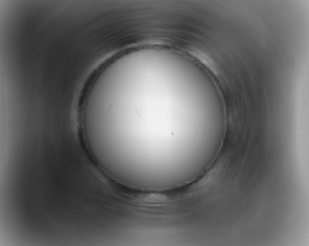 X0000089871119200707191933