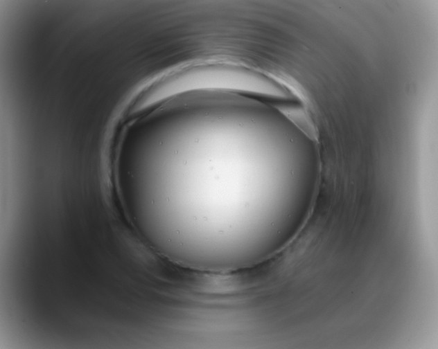 X0000089871120200707191933