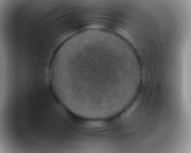 X0000089871121200707191933