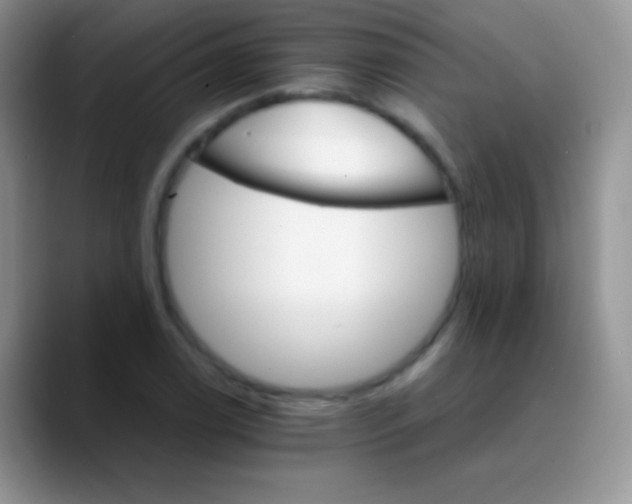 X0000089871122200707191933