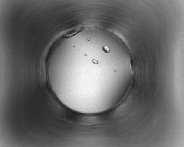 X0000089871123200707191933