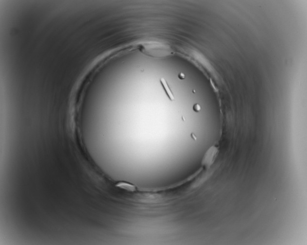 X0000089871124200707191933