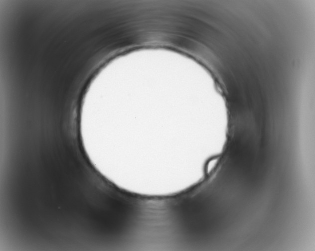 X0000089871126200707191933