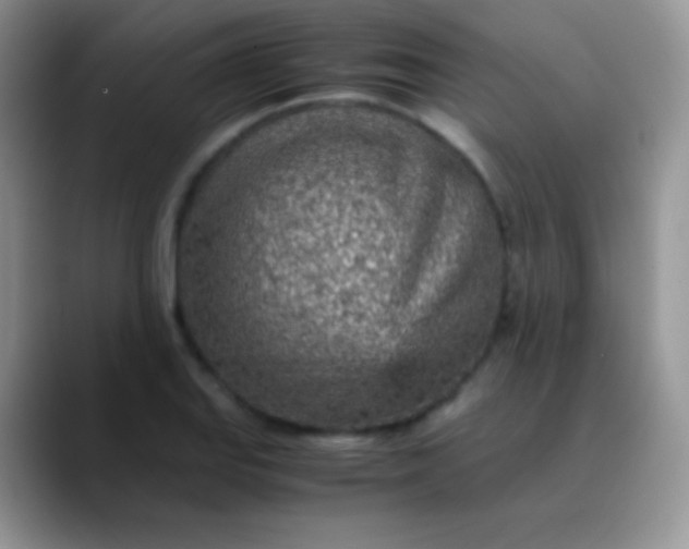 X0000089871127200707191933