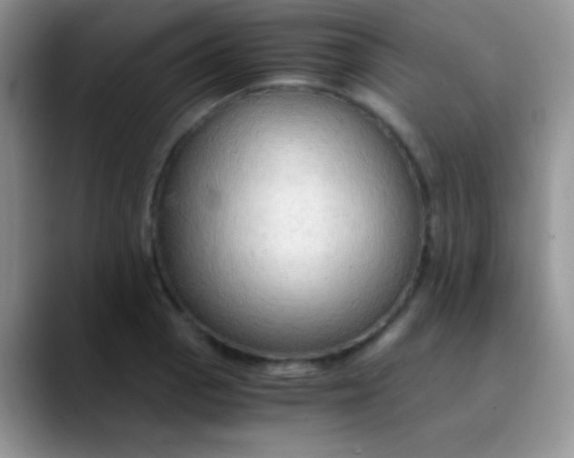 X0000089871129200707191933