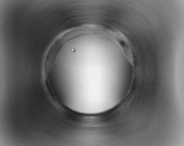 X0000089871132200707191933