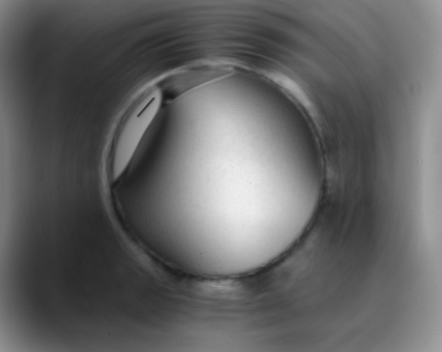 X0000089871133200707191933