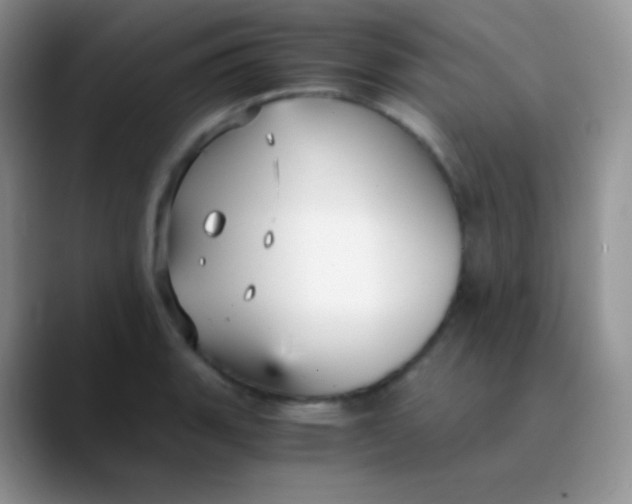 X0000089871135200707191933