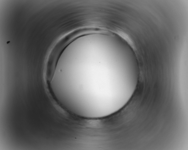 X0000089871136200707191934