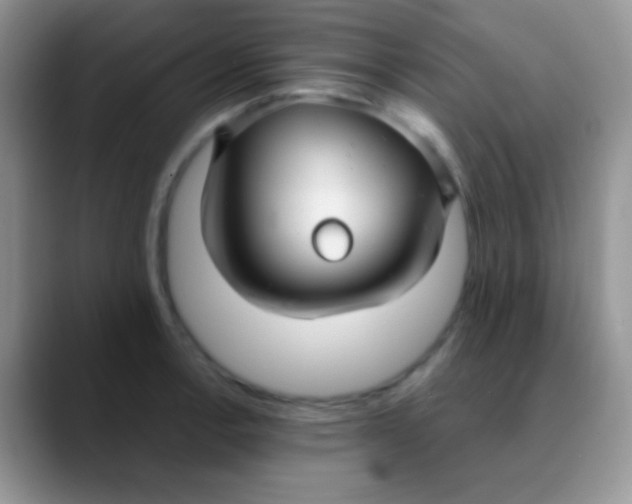 X0000089871138200707191934