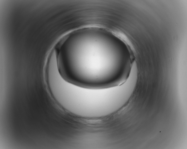 X0000089871140200707191934