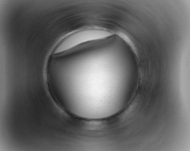 X0000089871141200707191934