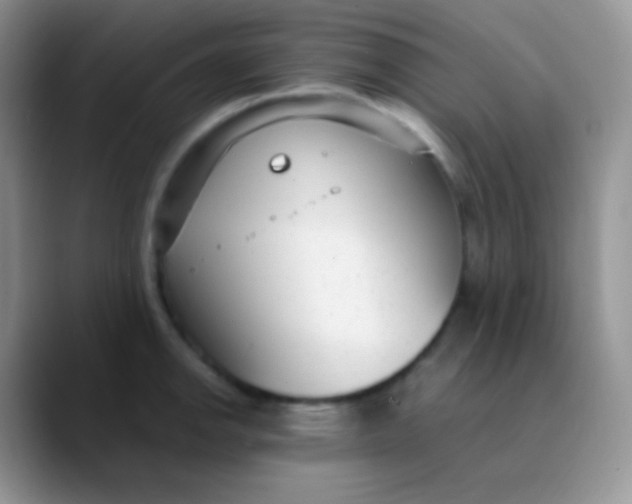 X0000089871142200707191934