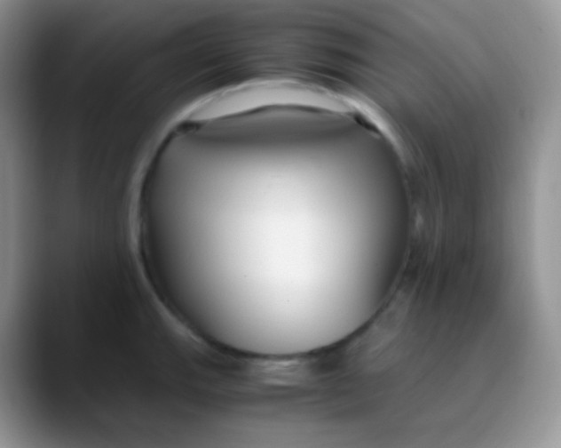 X0000089871143200707191934