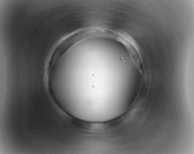 X0000089871144200707191934