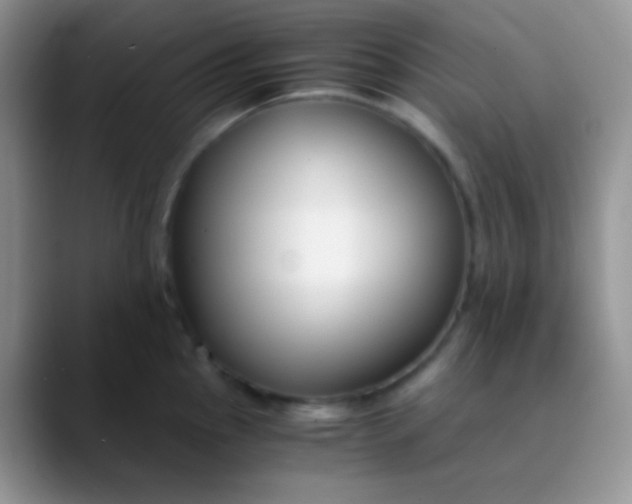 X0000089871145200707191934