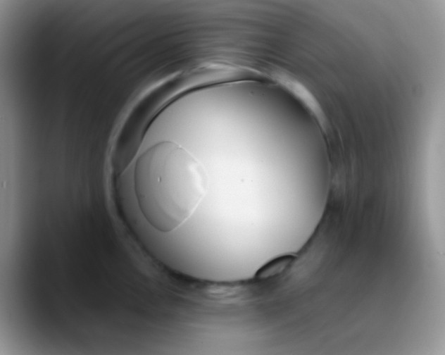 X0000089871146200707191934