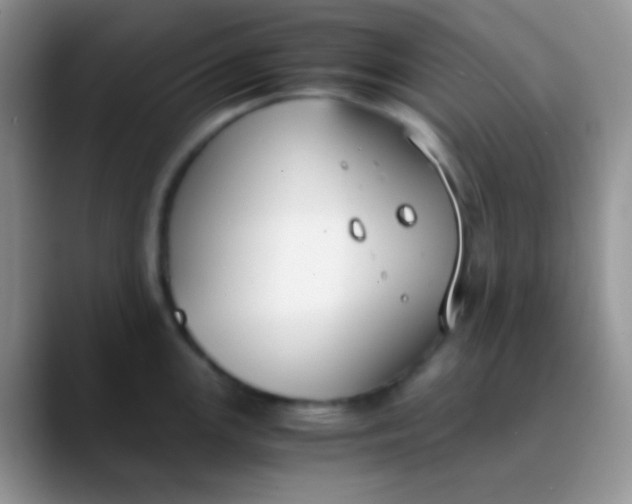 X0000089871147200707191934