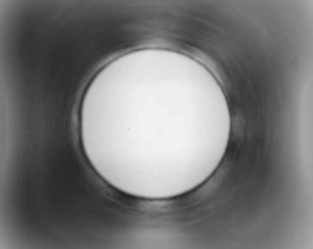 X0000089871150200707191934