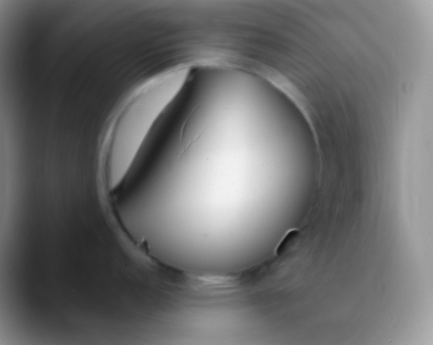 X0000089871152200707191934