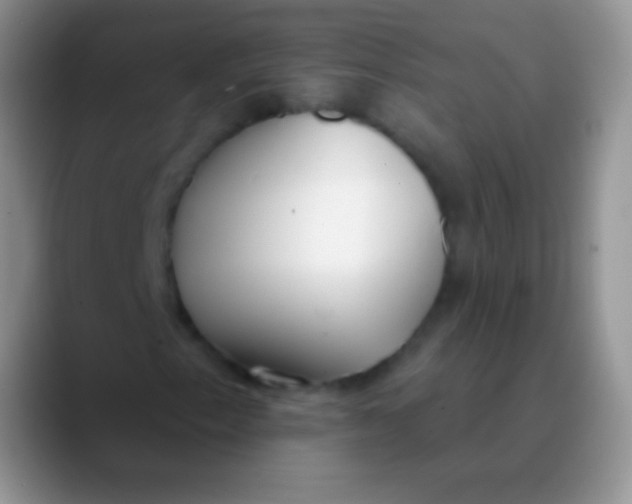 X0000089871153200707191933