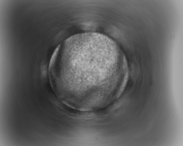 X0000089871154200707191933