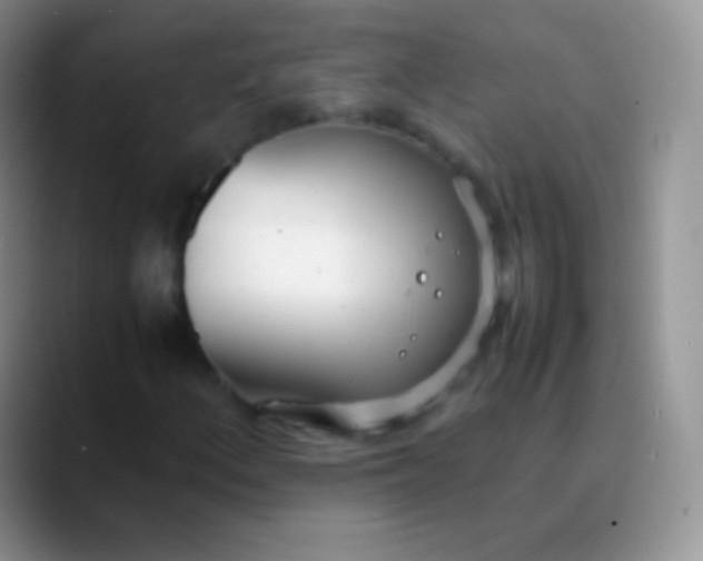 X0000089871156200707191933