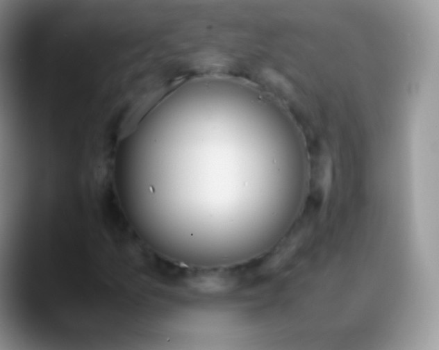 X0000089871157200707191933