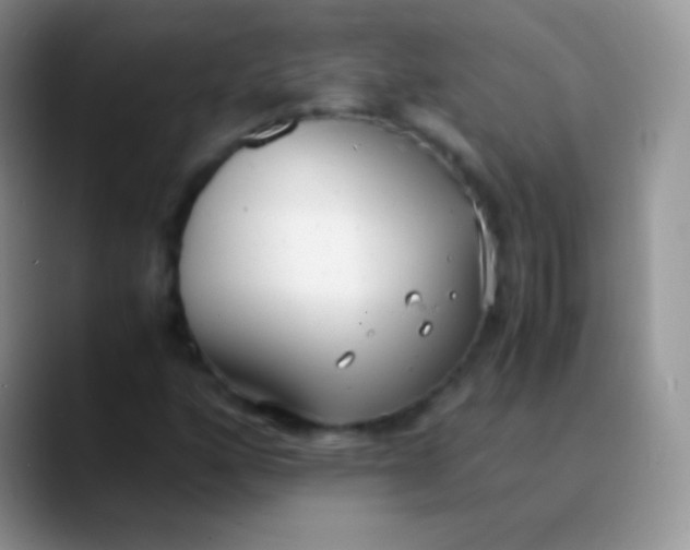 X0000089871160200707191933