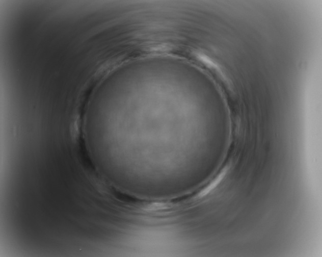 X0000089871161200707191933