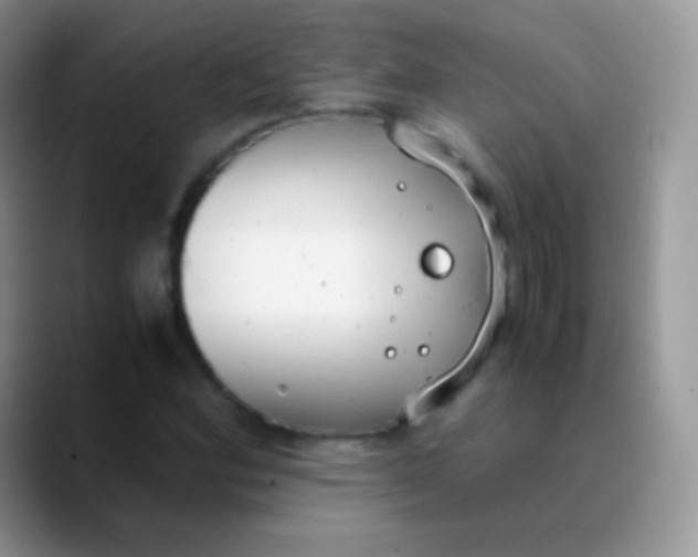 X0000089871164200707191933