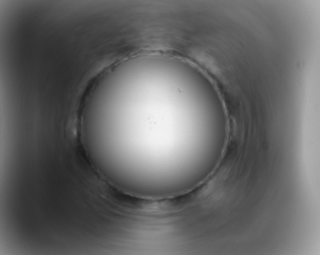 X0000089871165200707191933